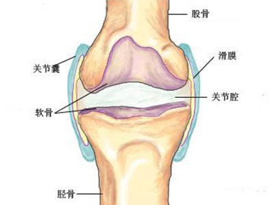 防病保健