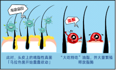 春雨医生
